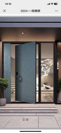 Stainless steel entrance door