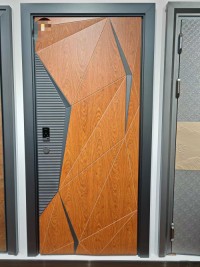 Stainless steel entrance door