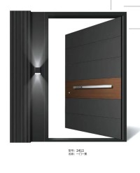 Stainless steel entrance door